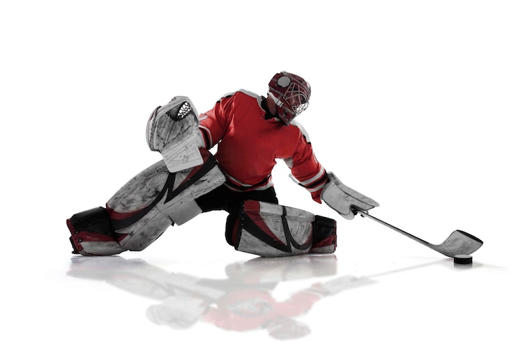 Zdarma Fotografie hockey players isolated on white