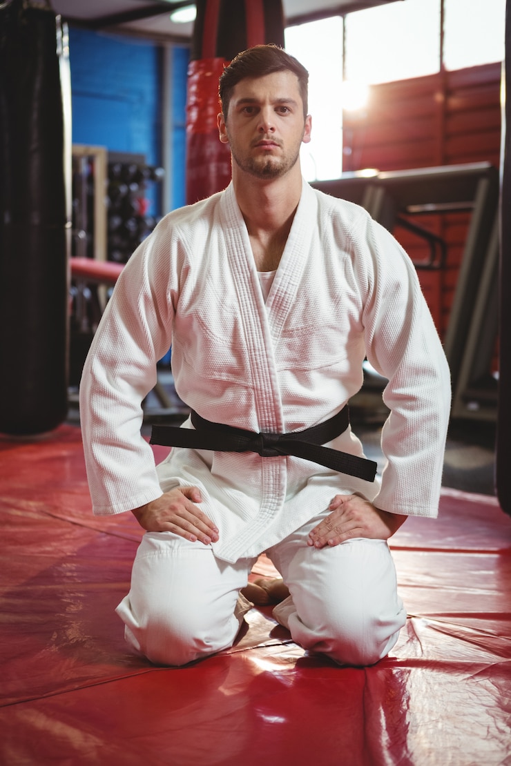 Zdarma Fotografie karate player performing karate stance