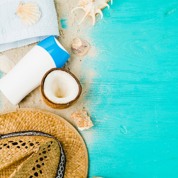Zdarma Fotografie layout of seashells near hat and coconut among sand