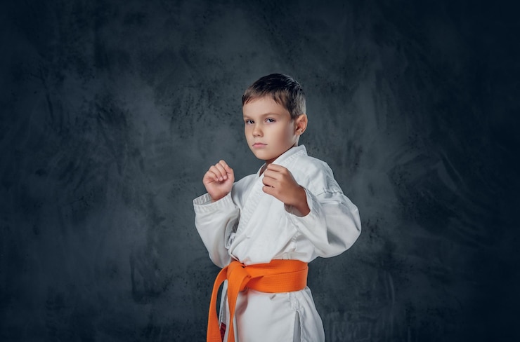 Zdarma Fotografie preschooler boy dressed in a white karate kimono with orange belt.