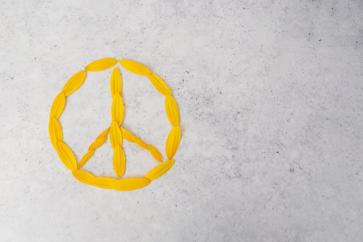 Zdarma Fotografie still life peace day arrangement with flower petals