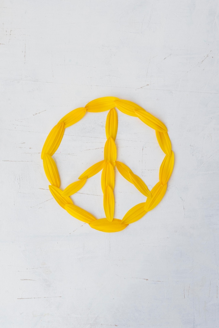 Zdarma Fotografie still life peace day arrangement with flower petals