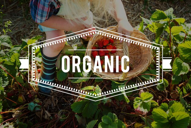 100% Nature Organic Recém-colhido Alimentação Saudável