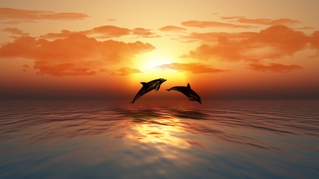 3D rendem de um por do sol sobre um oceano com golfinhos saltando