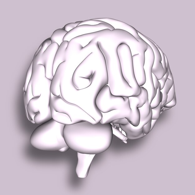 3D render de um cérebro médico