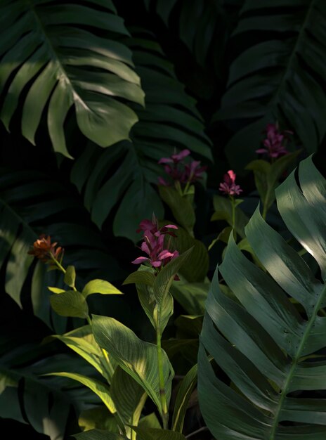 3d variedade de folhas de palmeira verde