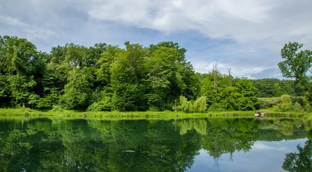 Foto grátis a bela natureza do parque maksimir em zagreb refletida na água