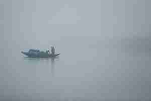 Foto grátis a beleza dos manguezais de sundarbans e a reserva de tigres na índia