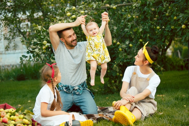 A família jovem feliz durante a colheita de maçãs em um jardim ao ar livre