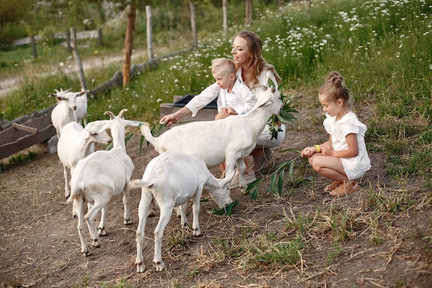 A família passa o tempo de férias na aldeia. Menino e menina brincando na natureza. As pessoas caminham ao ar livre.