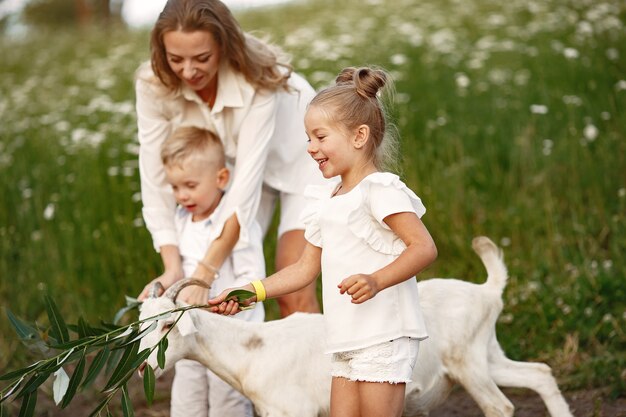 A família passa o tempo de férias na aldeia. Menino e menina brincando na natureza. As pessoas caminham ao ar livre.