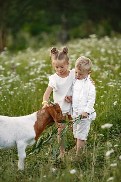 A família passa o tempo de férias na aldeia. menino e menina brincando na natureza.