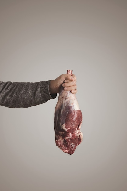 A mão do homem no suéter cinza contém carne da perna de cordeiro islandesa crua, isolada no fundo branco cinza. dieta paleo, comida orgânica.