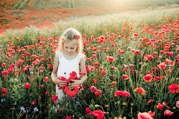 A menina olha flores da papoila