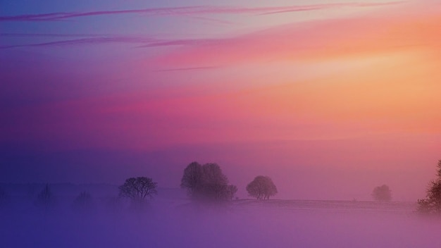 A névoa cobria as árvores com um pôr do sol roxo no alto.