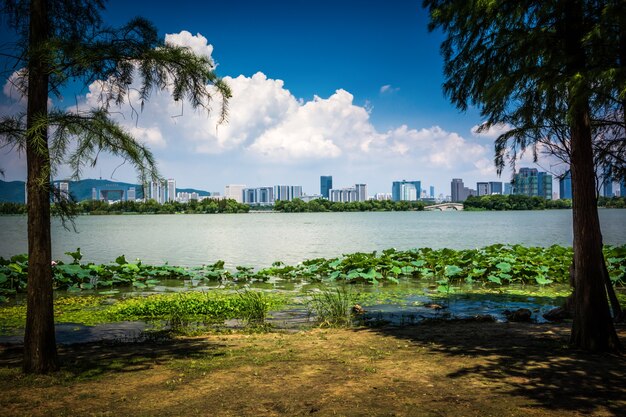 A paisagem urbana