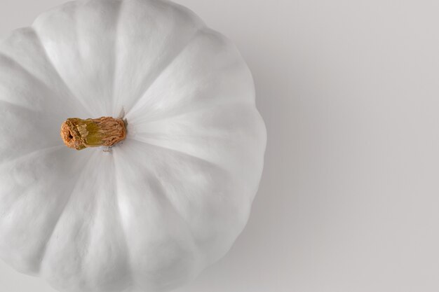 Foto grátis abóbora branca com fundo branco ainda vida