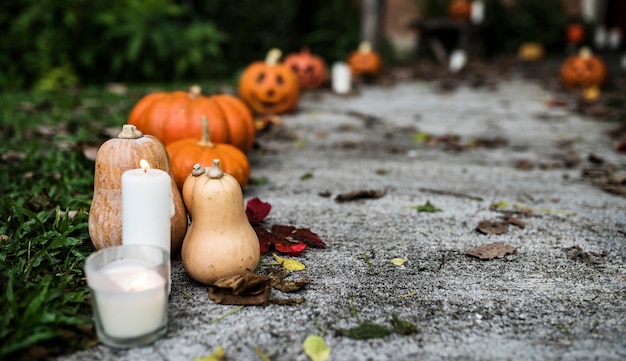 Foto grátis abóboras de halloween e decorações fora de uma casa