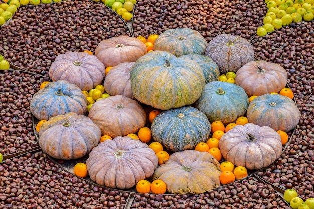 Foto grátis abóboras empilhadas