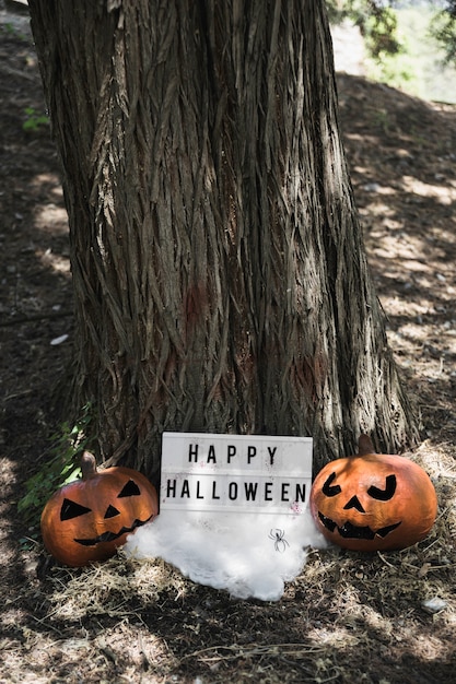 Foto grátis abóboras perto de tablet de halloween no parque