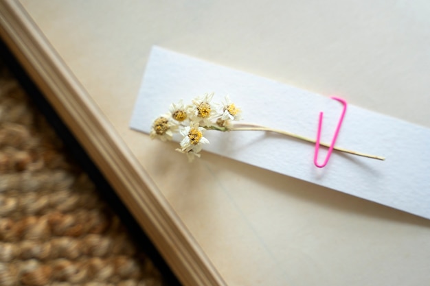 Foto grátis abra o notebook e a vista superior da flor