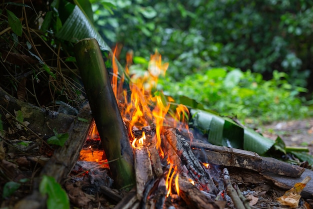 Acendendo o fogo na floresta para acampar.