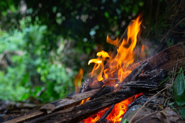 Acendendo o fogo na floresta para acampar.