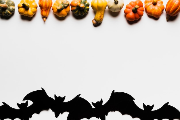 Foto grátis acima vista arranjo com abóboras e morcegos