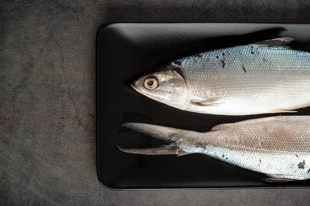 Acima vista decoração com peixes na bandeja