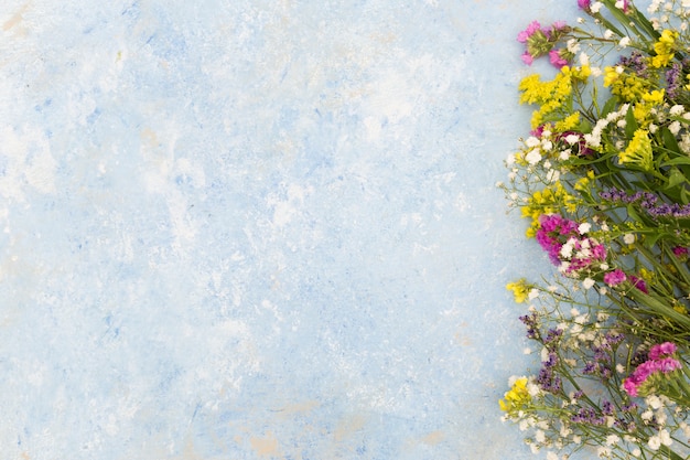 Foto grátis acima vista moldura floral com fundo de estuque