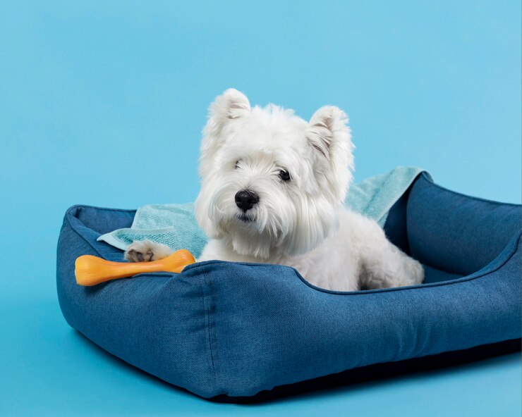Foto grátis adorável cachorrinho branco