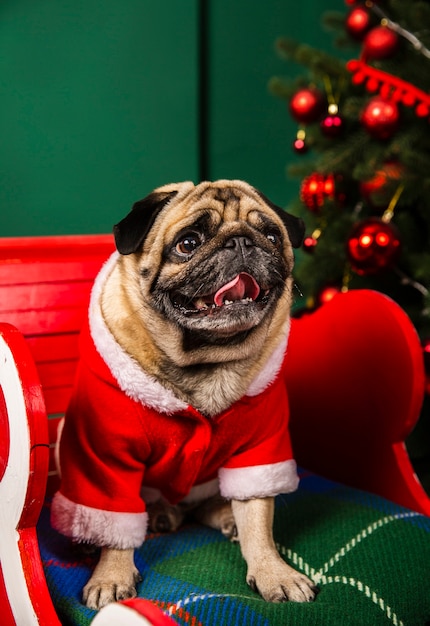 Adorável cachorro jogando papel santa