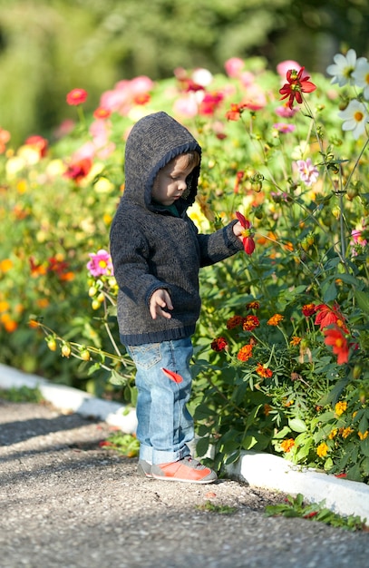 Adorável, menino jovem, verificar, flores