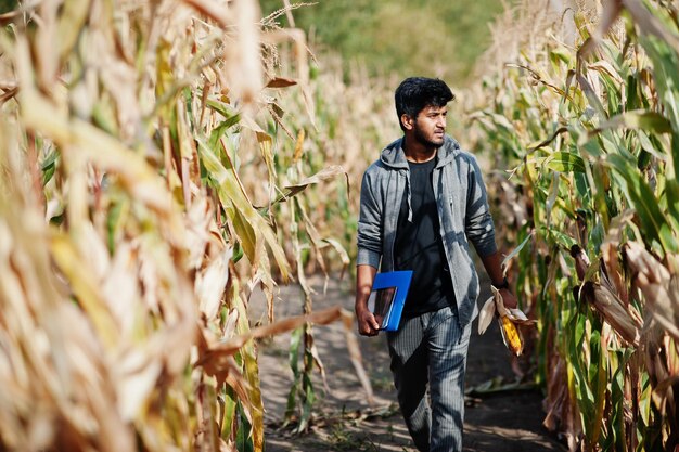 Agricultor agrônomo do sul da Ásia inspecionando fazenda de campo de milho Conceito de produção agrícola