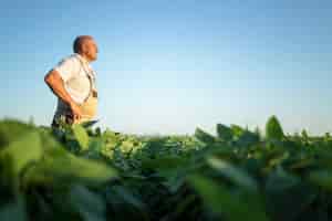 Foto grátis agricultor agrônomo sênior trabalhador em um campo de soja olhando à distância