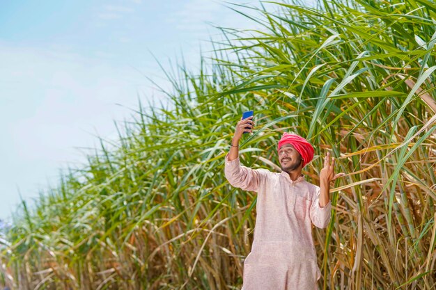Agricultor indiano usando smartphone no campo de agricultura de cana-de-açúcar.