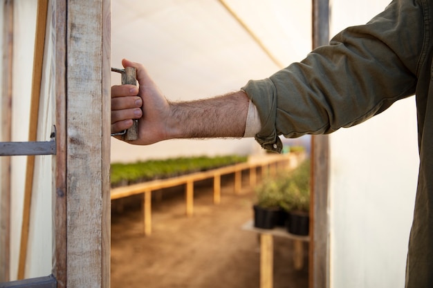 Foto grátis agricultor na estufa de sua fazenda