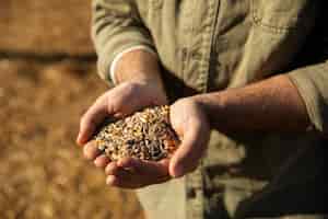 Foto grátis agricultor segurando grãos nas mãos