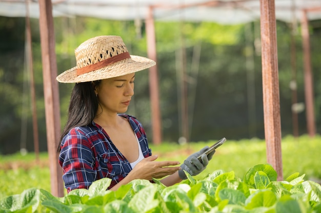 Foto grátis agricultores de mulher asiática trabalhando usando celular na fazenda hidropônica de vegetais com felicidade. retrato de mulher agricultora, verificando a qualidade da salada vegetal com sorriso na fazenda da casa verde.