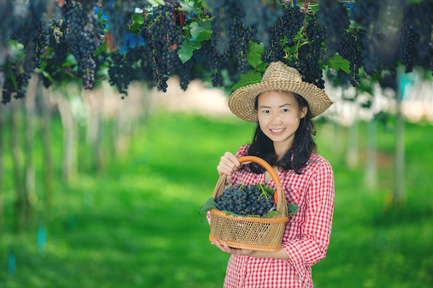 Agricultores de vinhedos que sorriem e apreciam a colheita.