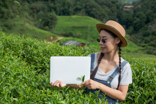 Agricultores segurando uma placa branca na plantação de chá