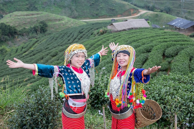 Agricultura de mulheres de hilltribe