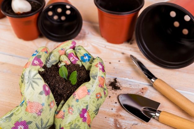 Foto grátis ainda vida com objetos de jardinagem