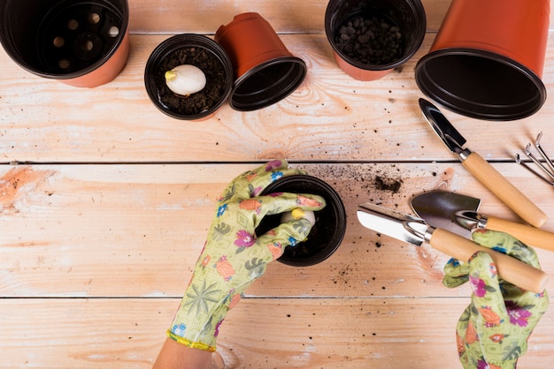 Foto grátis ainda vida com objetos de jardinagem