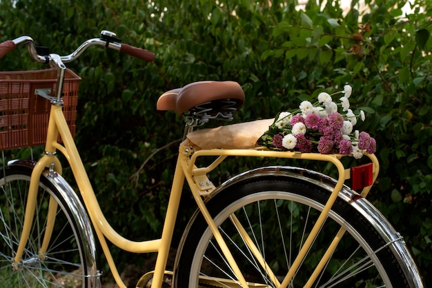 Foto grátis ainda vida de cesta de bicicleta