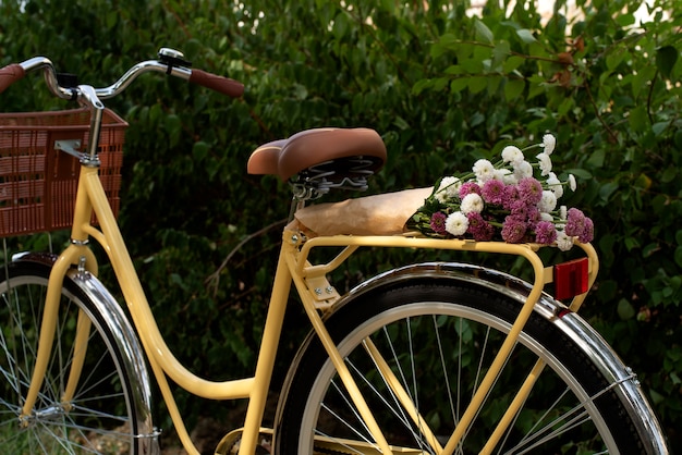 Ainda vida de cesta de bicicleta