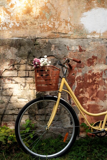 Ainda vida de cesta de bicicleta