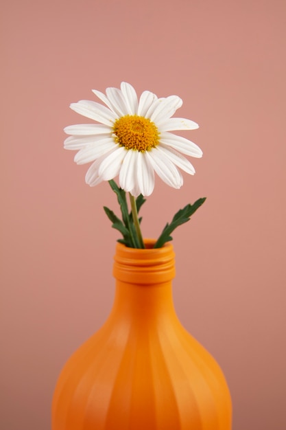 Foto grátis ainda vida de flores de margarida