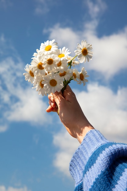 Foto grátis ainda vida de flores de margarida