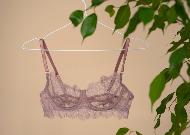 Ainda vida de sutiã lingerie